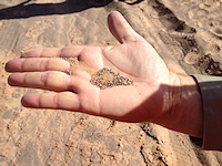 frac sand rock mining consultants mine frac sand rock coal technical expert litigation legal financial reserve geology